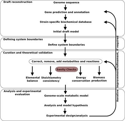 Genome-Scale Metabolic Model Driven Design of a Defined Medium for Campylobacter jejuni M1cam